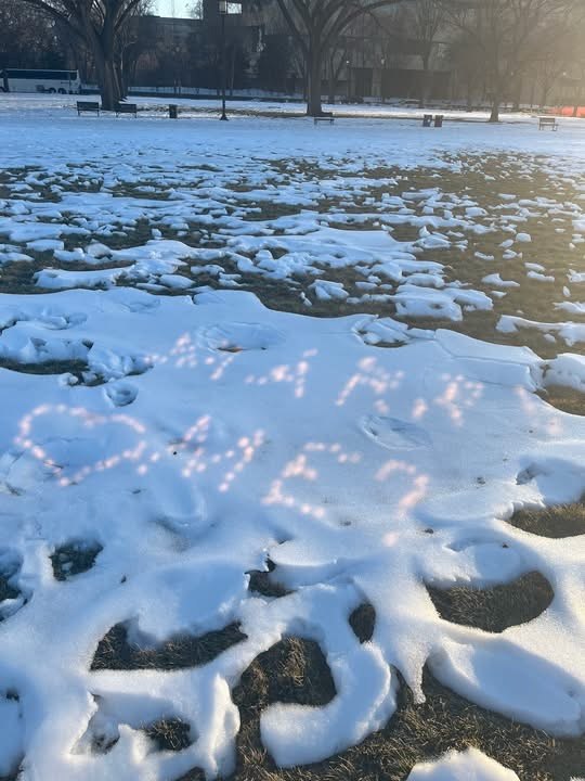 The scene of the proposal